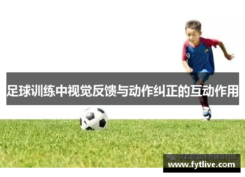 足球训练中视觉反馈与动作纠正的互动作用